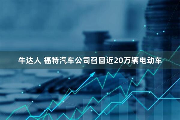 牛达人 福特汽车公司召回近20万辆电动车