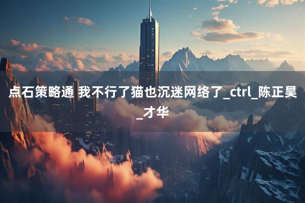 点石策略通 我不行了猫也沉迷网络了_ctrl_陈正昊_才华