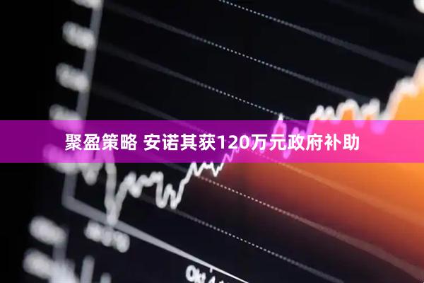 聚盈策略 安诺其获120万元政府补助
